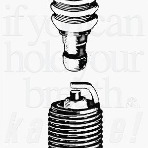 If You Can Hold Your Breath [5LP] (Ultra Clear Vinyl) [ VINYL LP ]