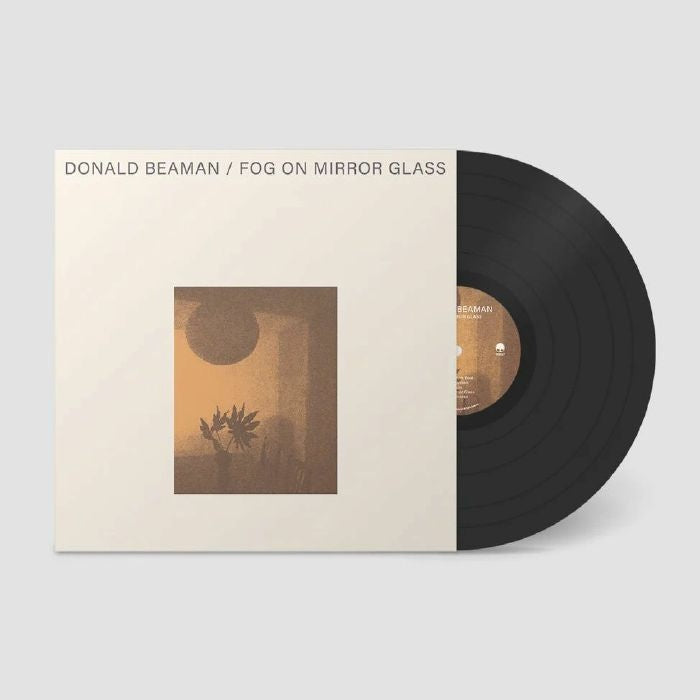 Fog On Mirror Glass [LP] [ VINYL LP ]