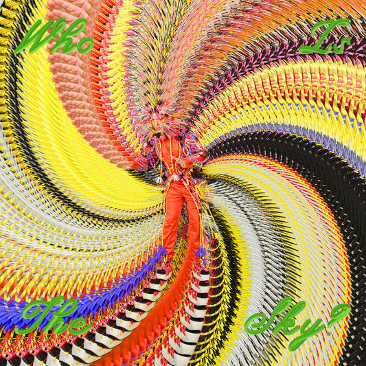 Who Is The Sky? [Lemon Yellow Vinyl] [ VINYL LP ]