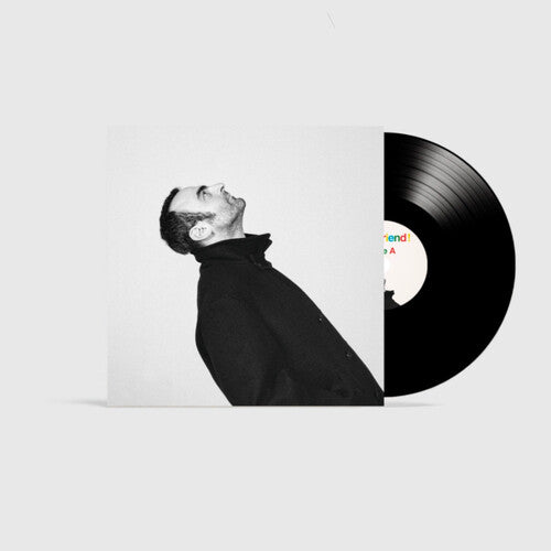 Hey Friend [LP] [ VINYL LP ]