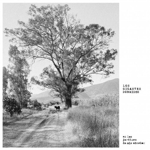 Los Jardines De Mis Abuelos [LP] [ VINYL LP ]