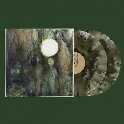 Didn't Mean To Haunt You [2LP] [Green Vinyl] [ VINYL LP ]