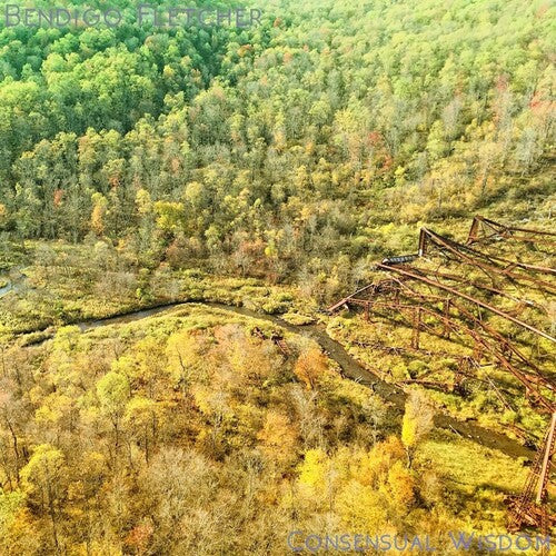 Consensual Wisdom [LP] (Opaque Beige Vinyl) [ VINYL LP ]