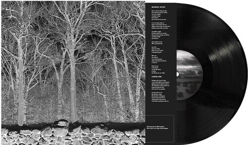 Sunshine And Balance Beams [LP] [ VINYL LP ]