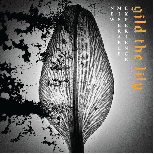 New Miserable Experience [LP] [ VINYL LP ]