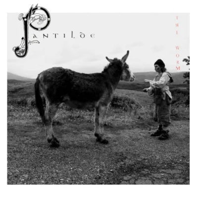 Pantilde [LP] (Japanese Import) [ VINYL LP ]