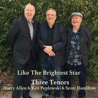 Like The Brightest Star [2LP] (import) [ VINYL LP ]