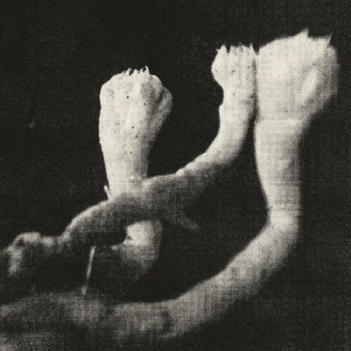 Unterhaltungen Mit Larven Und Uberresten [LP+7"] [ VINYL LP ]