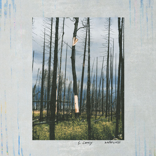 Watercress [12"] [ VINYL LP ]