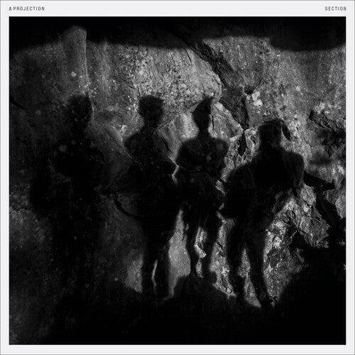 Section [Limited Edition White LP] [ VINYL LP ]