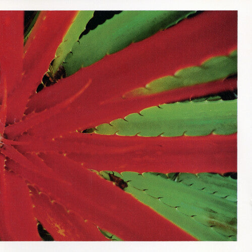 This Afternoons Malady [2LP] [ VINYL LP ]