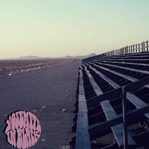 The Pursuit Of [LP] [ VINYL LP ]