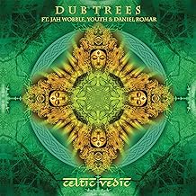 Celtic Vedic [2LP] [ VINYL LP ]