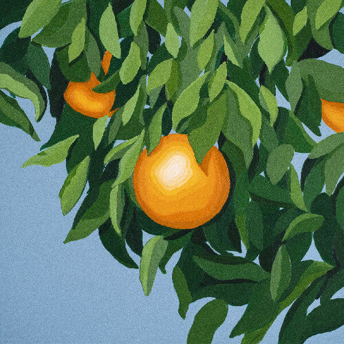 For The First Time Again [LP] [ VINYL LP ]