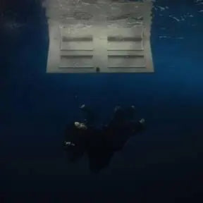 Hit Me Hard And Soft [Recycled Black Vinyl] [ VINYL LP ]