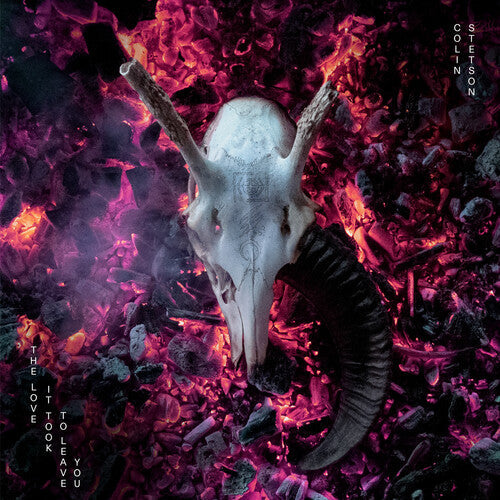 The Love It Took to Leave You [Vinyl] [ VINYL LP ]