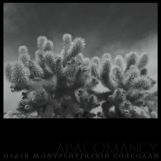 Abacomancy [LP] [ VINYL LP ]
