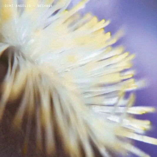 NECH034 [12" Vinyl] [ VINYL LP ]