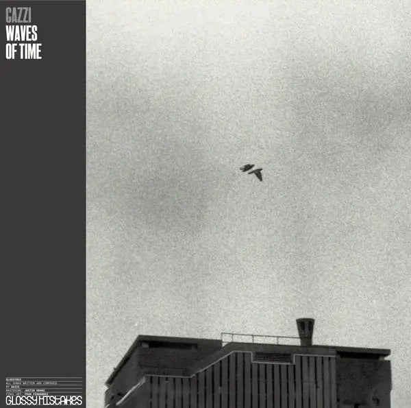 Waves of Time [LP] [ VINYL LP ]