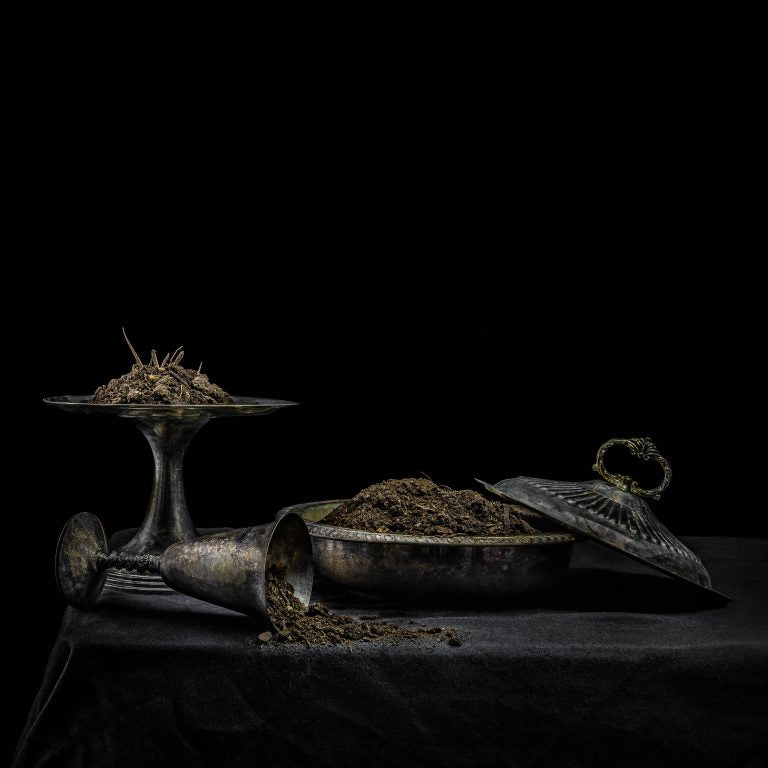 All We Have Is Never [LP] (Purple Vinyl) [ VINYL LP ]