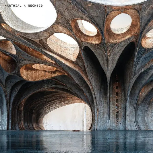 NECH029 [12" Vinyl] [ VINYL LP ]