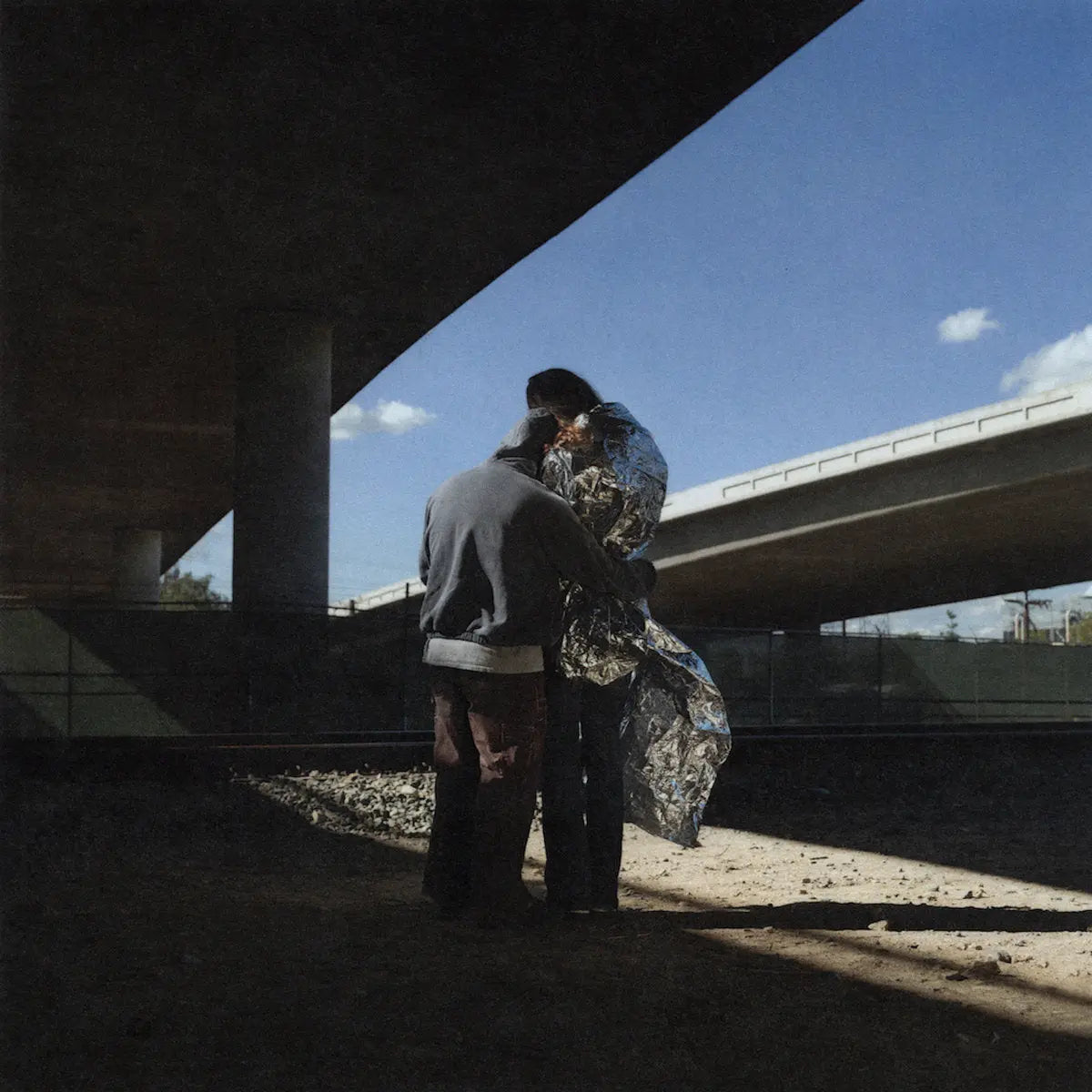 Shapeshifting [Vinyl] [ VINYL LP ]