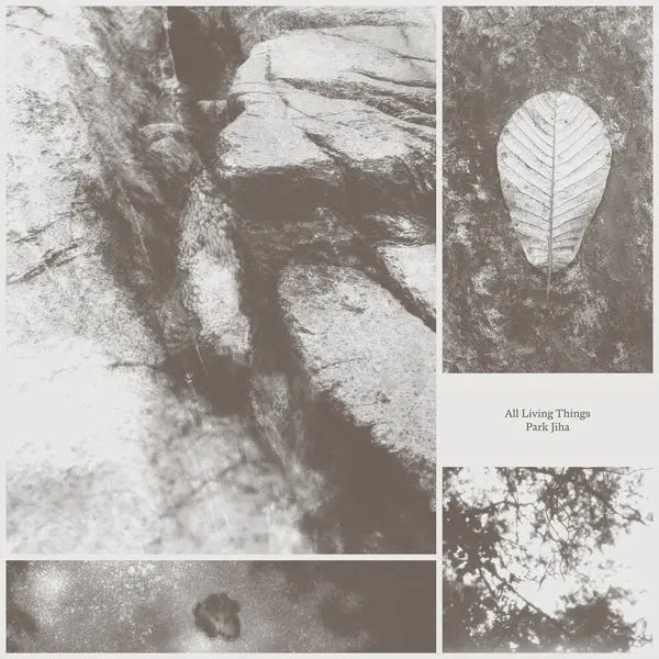 All Living Things [LP] [ VINYL LP ]