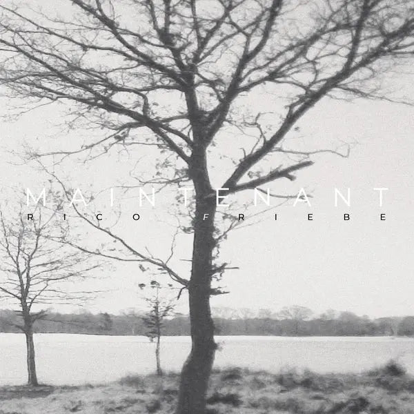 Maintenant [LP] [ VINYL LP ]