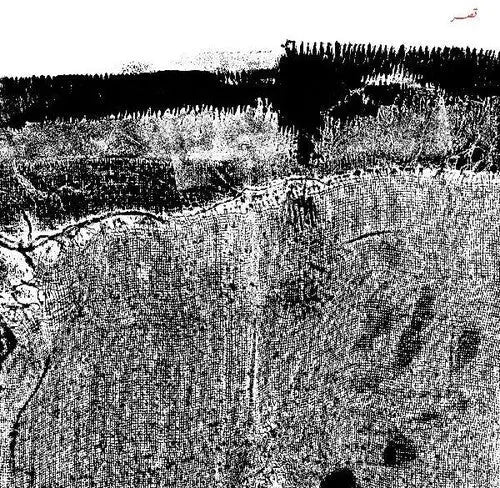 Qasr [BioVinyl] [ VINYL LP ]