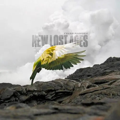 New Lost Ages [Gray Vinyl] [ VINYL LP ]