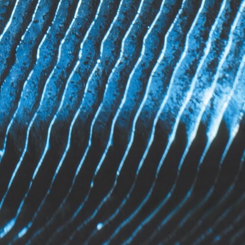 Gravity [2LP] [ VINYL LP ]