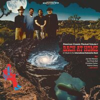 American Cosmic Revival Vol. 1: Back At Home [LP] [ VINYL LP ]