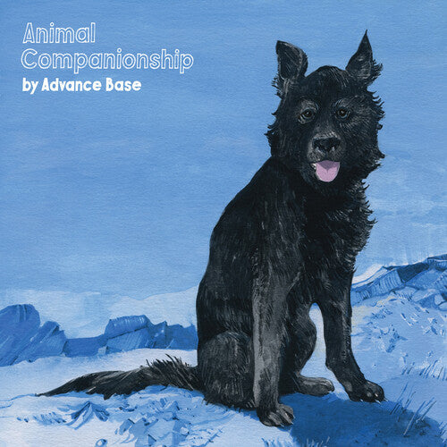 Animal Companionship [LP] (Clear Vinyl) [ VINYL LP ]