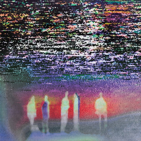 We Were Just Here [LP] [ VINYL LP ]